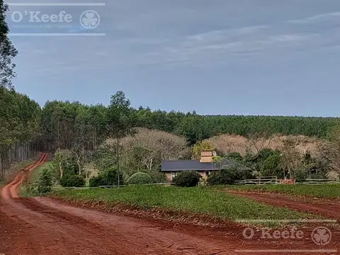 Campo en venta de 561 has  Forestales,   Corrientes