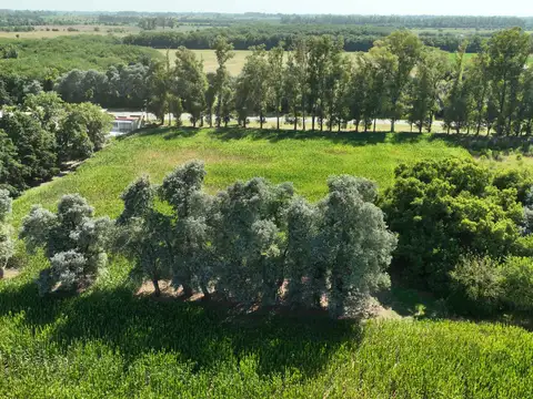 4 Has. Chacra sobre Ruta en Carlos Keen