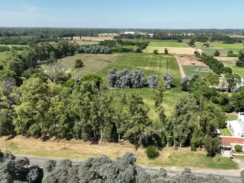 4 Has. Chacra sobre Ruta en Carlos Keen