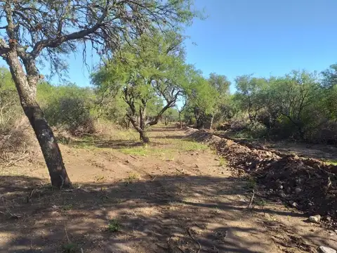 Terreno en Venta en Centro, USD 25.000