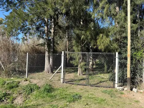 Terreno en Arturo Segui