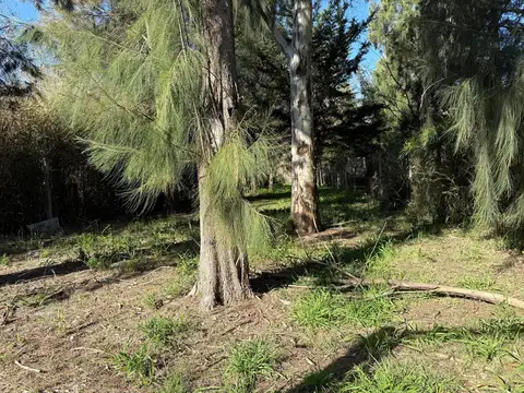 Terreno en Arturo Segui