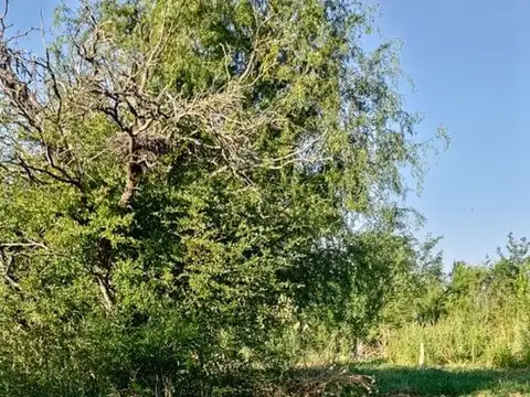 Terreno en Venta de 974,0 m2