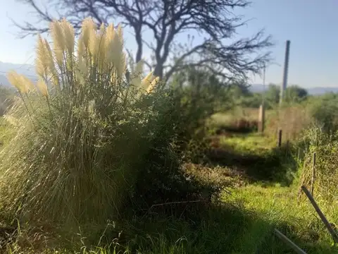 Ruta 39 LA FLORIDA 100