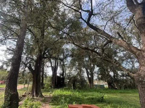 Terreno en Venta 50  mts Frente