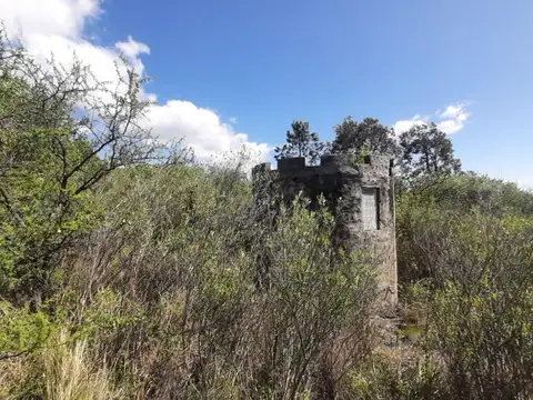 La Granja, Departamento. de Colón, Pcia. de Córdoba