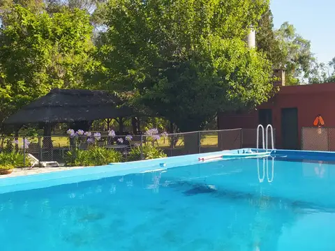 494 entre 226 y 224 100