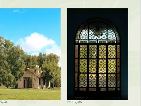 Haras de Santa Cecilia Lobos