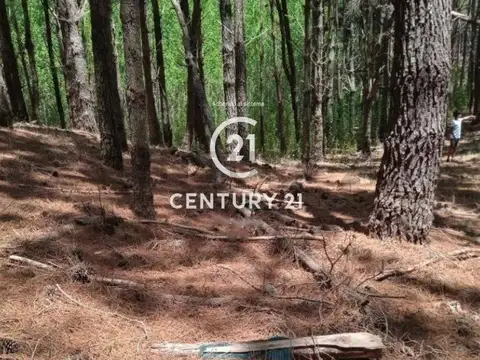 Terreno en Venta en Villarobles, USD 38.000