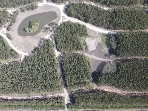 Ruta 11 km 493,5 7600