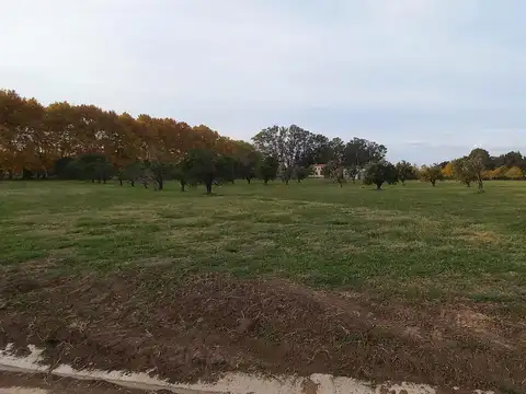 Terreno en Venta de 854,0 m2