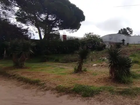 Terreno en Venta 39  mts Fondo