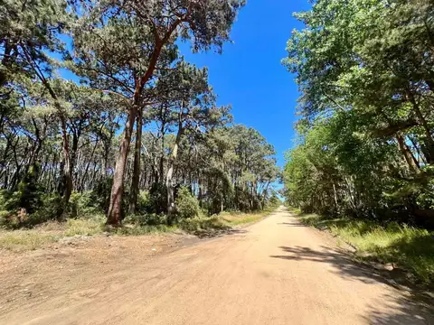 VENTA TERRENO DESARROLLO RINCON DEL INDIO