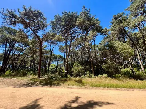 Terreno en Venta de 3938,0 m2