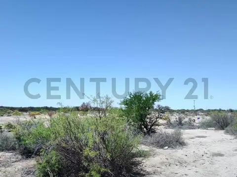 Campo en Venta de 26  ha