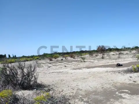 Century21Lopez Vende Finca de 26hs inculta en las Catitas, Santa Rosa Mendoza