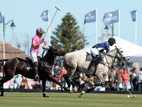 Mariano Castex 10000