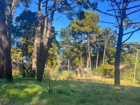 Coronel de Marina Leandro Rosales y Alfonso Cabral