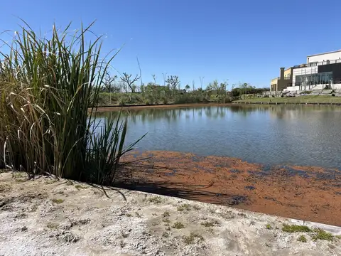 OPORTUNIDAD Venta terreno en  Riberas Puertos del Lago Escobar Zona Norte Al Agua