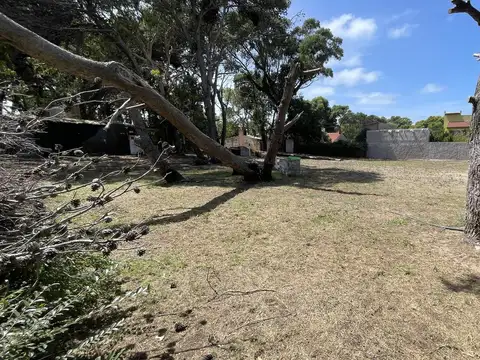 Francisco de las Carreras e/G. Spano y J. Ingenieros