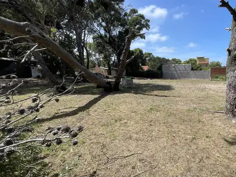 Excelente lote para Inversor 