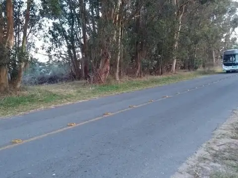 Terreno en venta - 2810Mts2 - Tandil