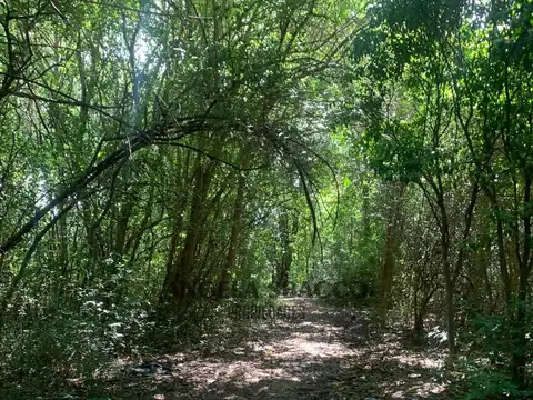 Córdoba, Open Door.