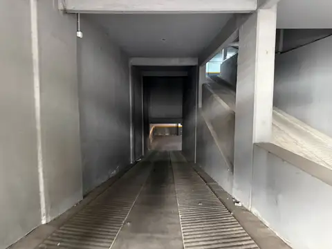 3 de febrero  al 1101