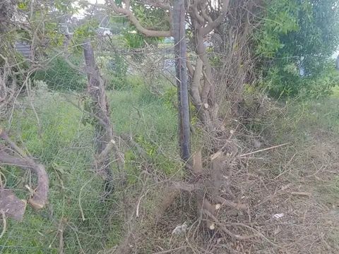 venta lote zona vivero Miramar