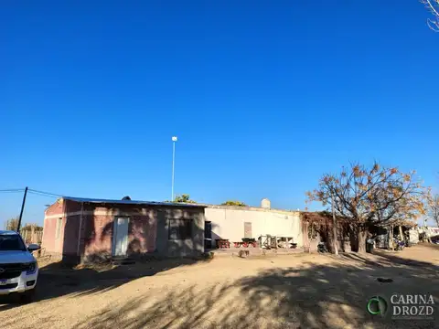 Fray Luis Beltran sin 100