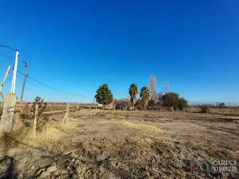 Fray Luis Beltran sin 100