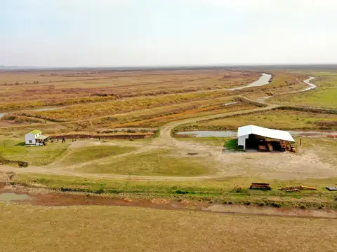 Campo en Venta Ganadero