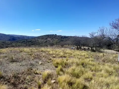 VENTA LOTE AGUA DE ORO 1 HECTAREA