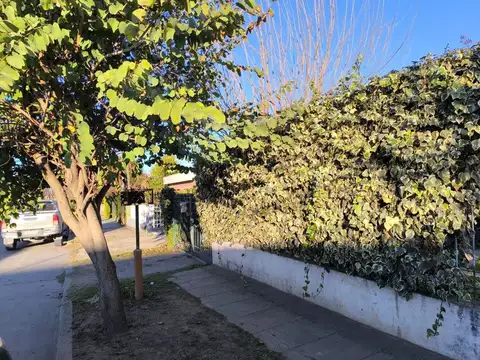 Doctor Santillan 100