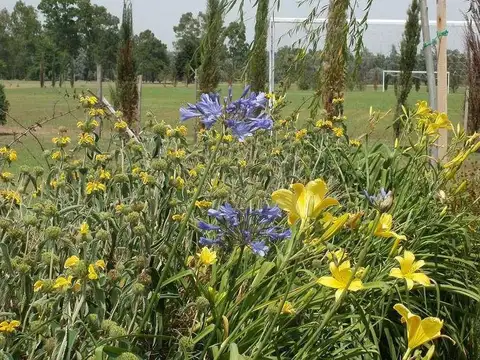 Terreno en Venta en Santa Rita, USD 45.000