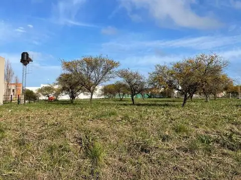 Terreno en Venta en Colon, USD 36.000