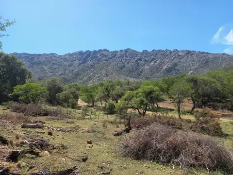 Terreno en  Cortaderas, San Luis
