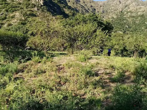 Terreno en Venta en Cortaderas, USD 30.000