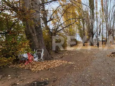 CHACRA EN SENILLOSA CON FRENTE DE RUTA 22