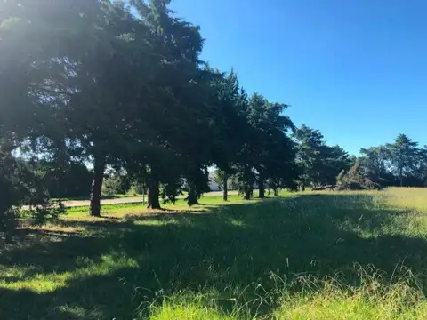 Terreno en Venta 10  mts Frente