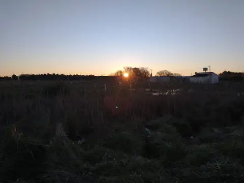 Lote - Venta - Argentina, Mar del Tuyú - 84 15129