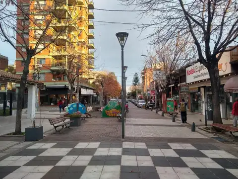 Terreno en Venta 10  mts Frente