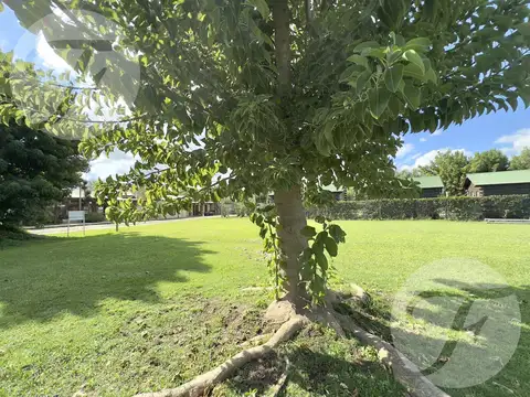 Frente al Mangrullo de Vuelta de Obligado