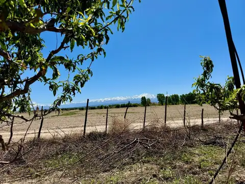 SPEZIA s/n y Buenos Vecinos s/n