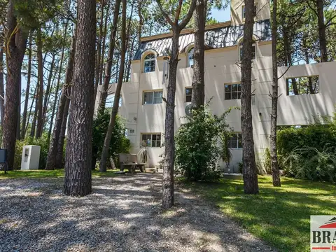 Mar de las Pampas 100