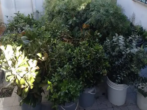 Casa en Venta 45 años