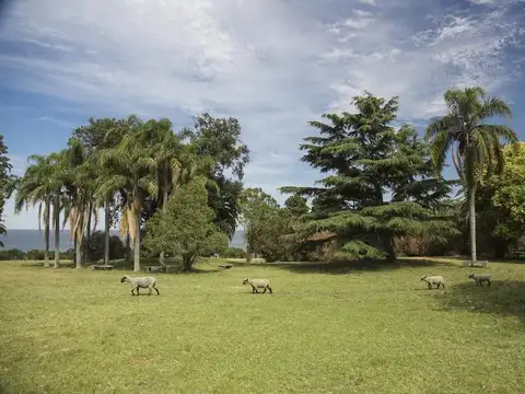 Terreno en Venta en Montevideo, USD 370.000