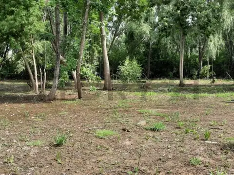 VENTA - LOTE - TERRENO - ISLA DEL CARAGUATA - ISLAS DEL DELT