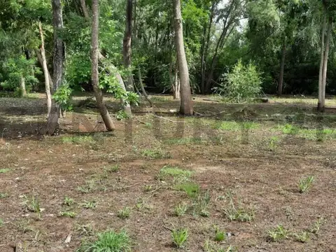 Arroyo Caraguata 600, Piso 0