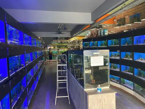 Local en Venta en Palermo, USD 329.000